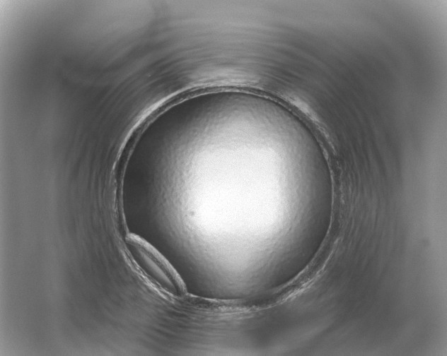 X0000064760933200602241909