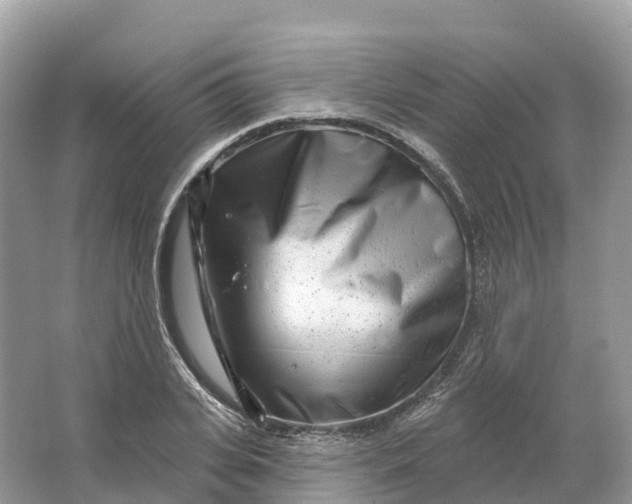 X0000064760935200602241909