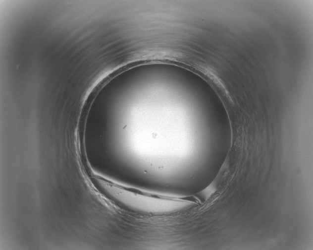 X0000064760936200602241909