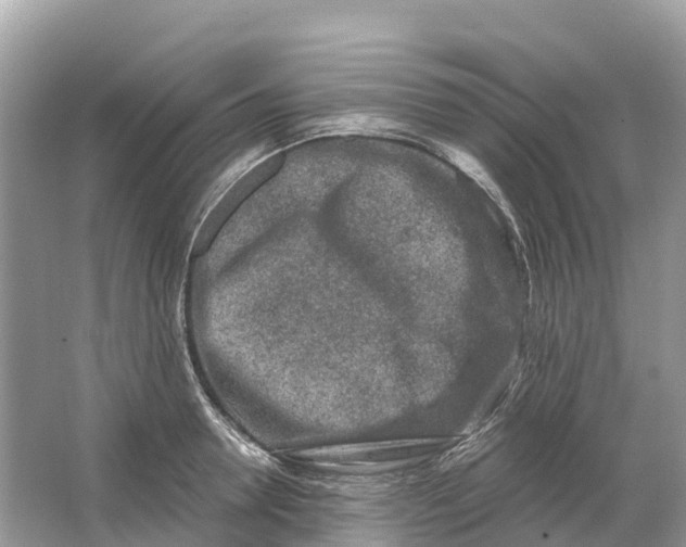 X0000064760946200602241909