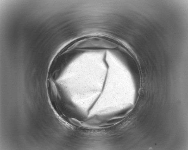 X0000064760951200602241909