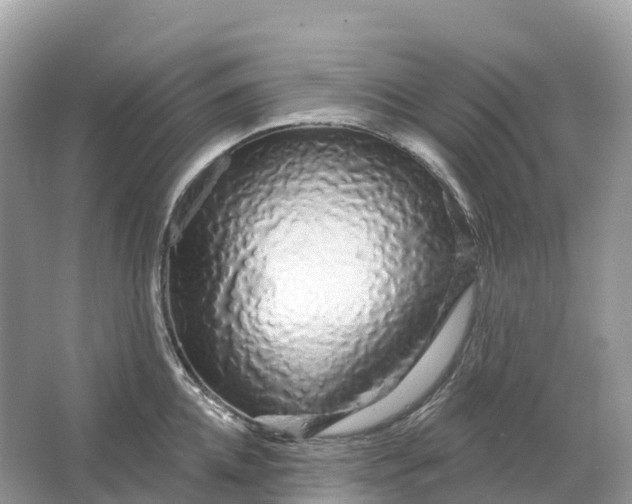 X0000064760952200602241909