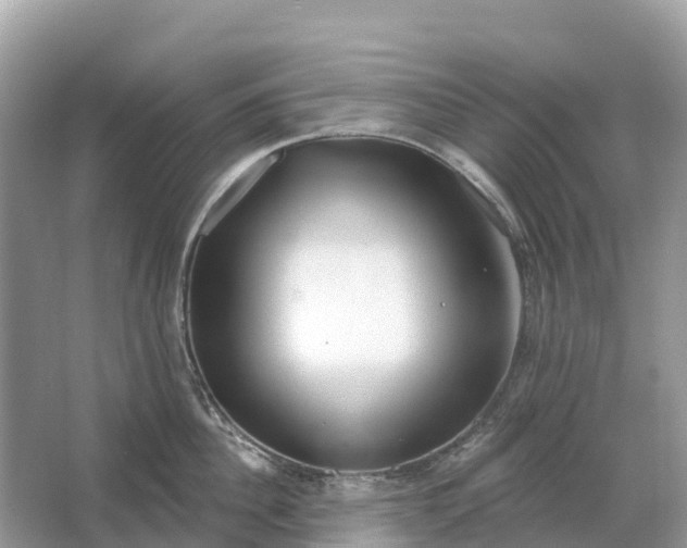 X0000064760956200602241910