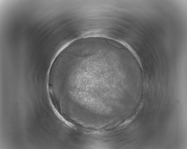 X0000064760957200602241910