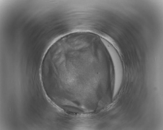 X0000064760958200602241910