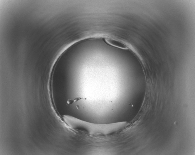 X0000064760959200602241910