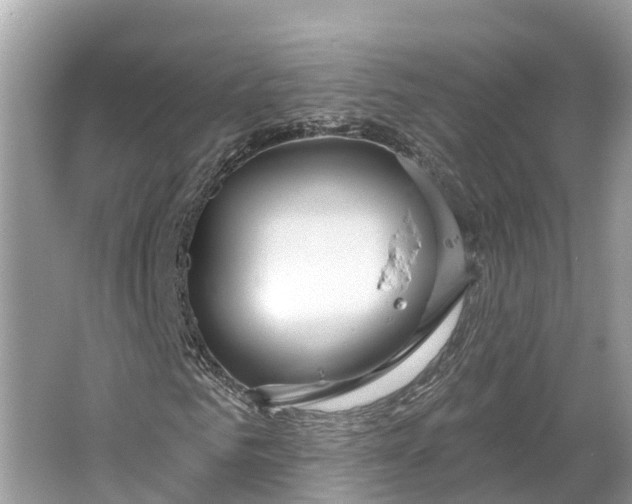 X0000064760961200602241908