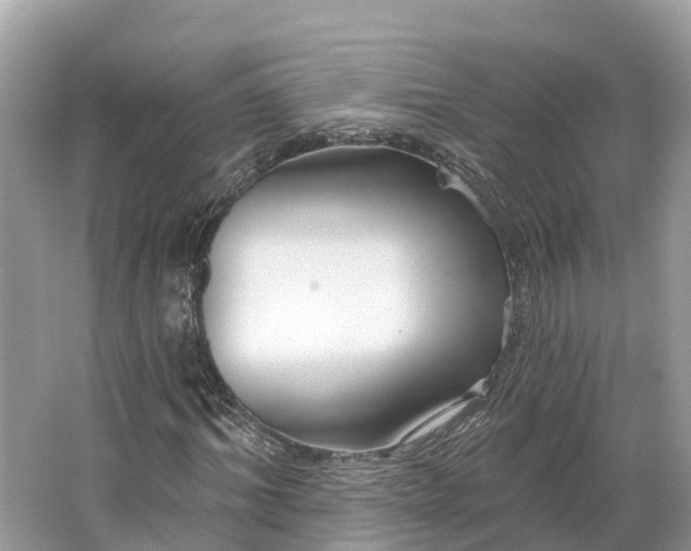 X0000064760964200602241908