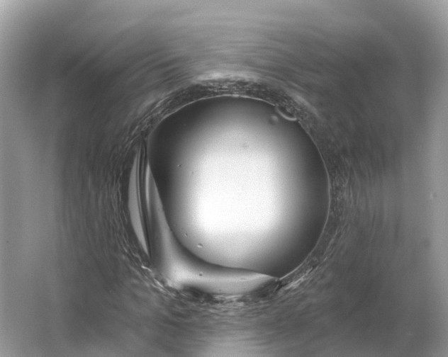 X0000064760965200602241908