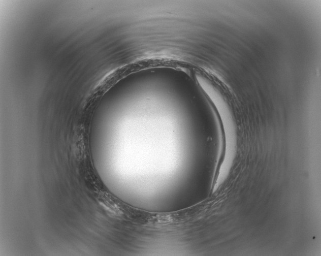 X0000064760968200602241908