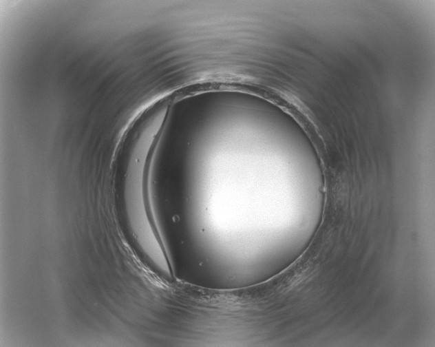 X0000064760971200602241908