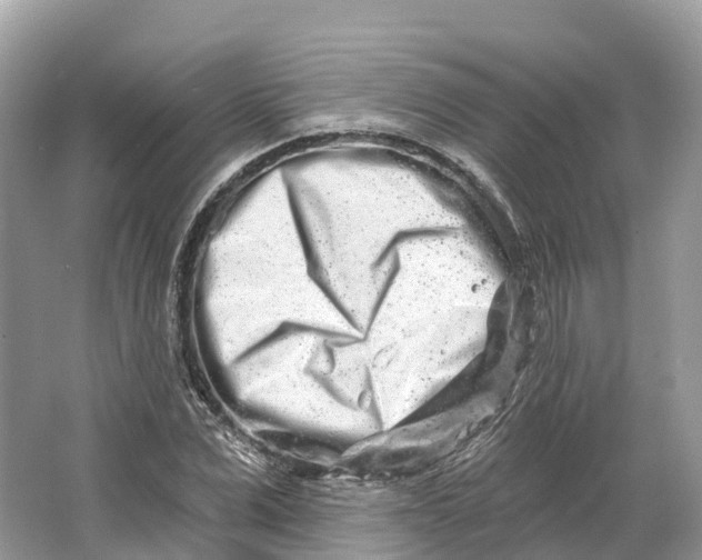 X0000064760975200602241908