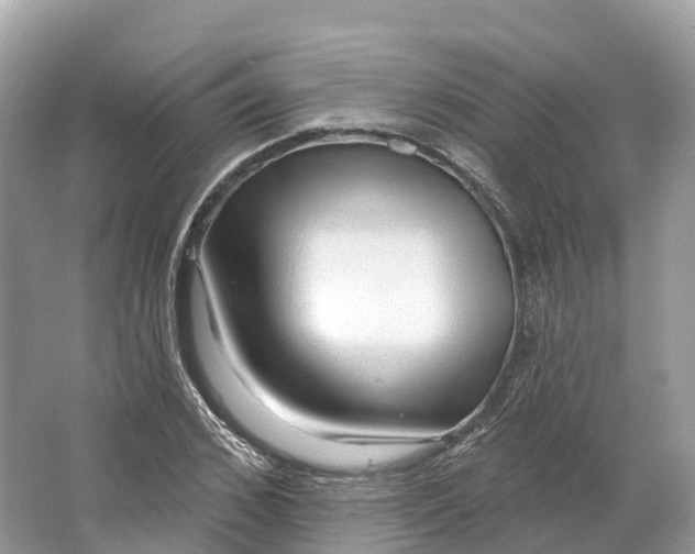 X0000064760976200602241908