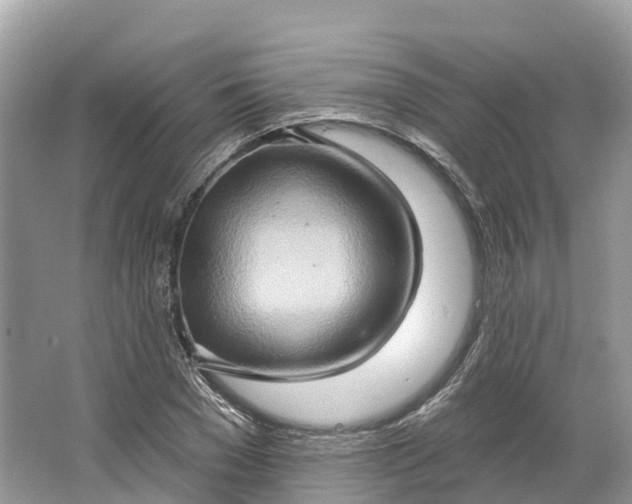 X0000064760977200602241908