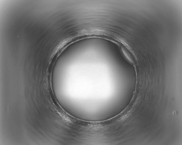 X0000064760978200602241908