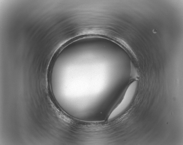 X0000064760980200602241908