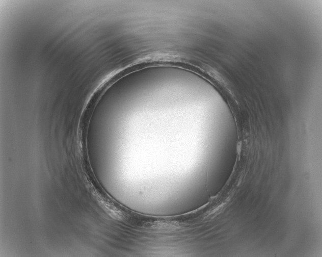 X0000064760981200602241908