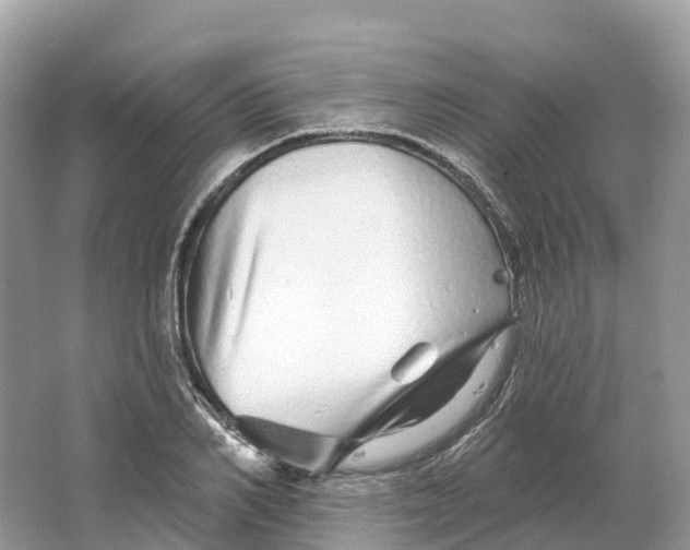 X0000064760982200602241908