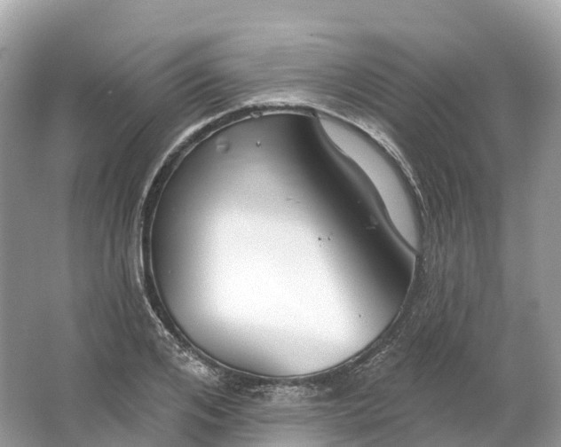 X0000064760984200602241908