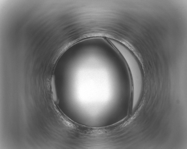 X0000064760993200602241908