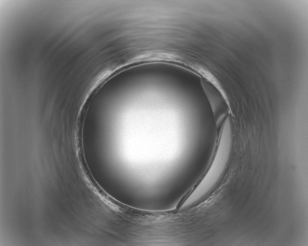 X0000064760997200602241908