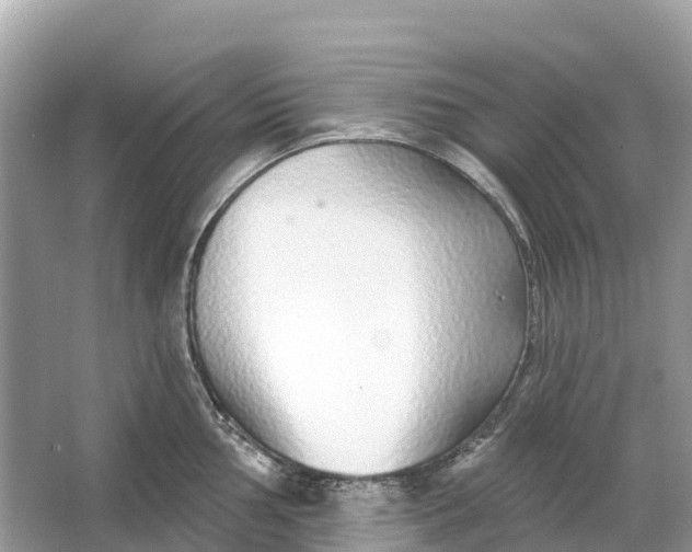 X0000064761002200602241907