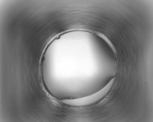 X0000064761004200602241907