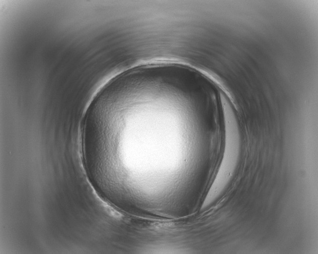 X0000064761006200602241907