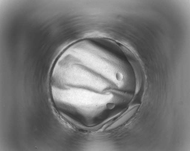 X0000064761008200602241907