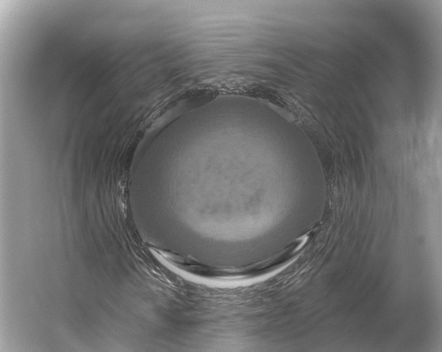 X0000064761010200602241906