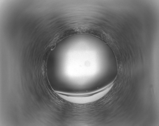 X0000064761012200602241906