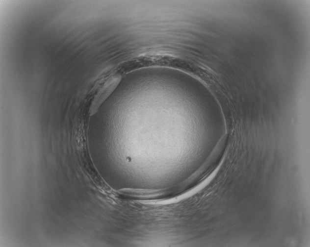 X0000064761014200602241906