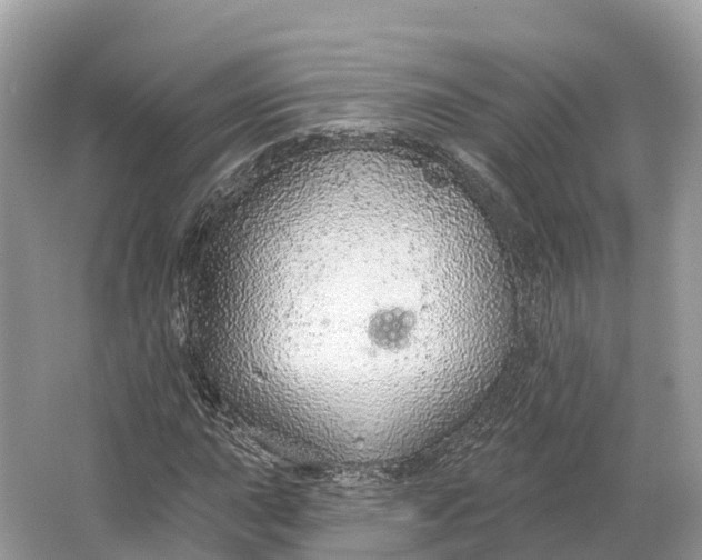 X0000064761015200602241906