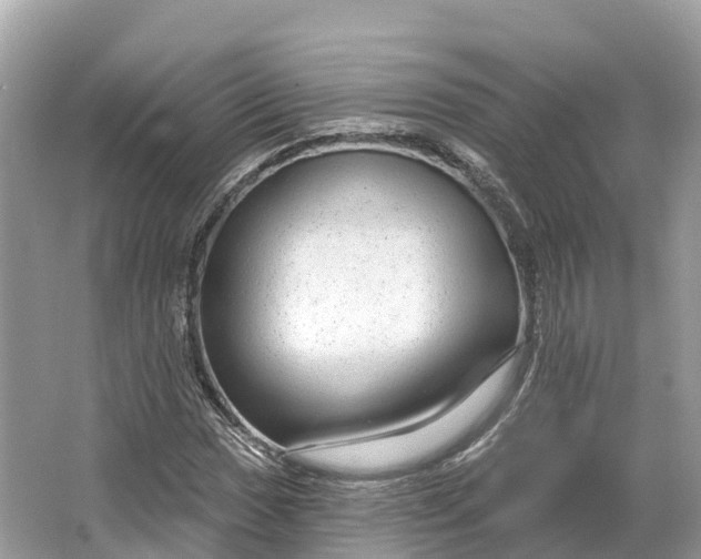 X0000064761017200602241906