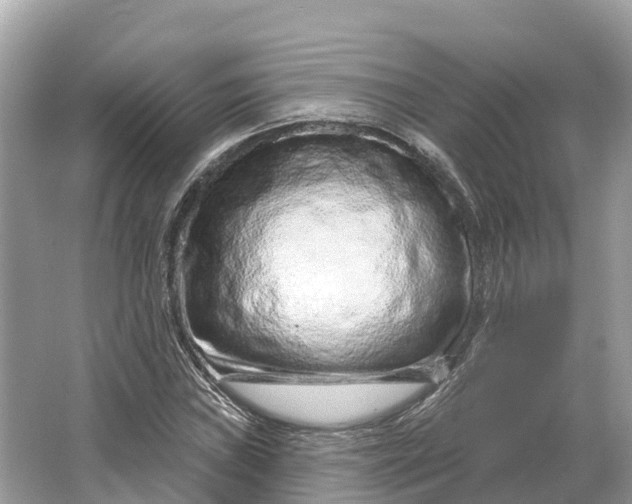 X0000064761019200602241906