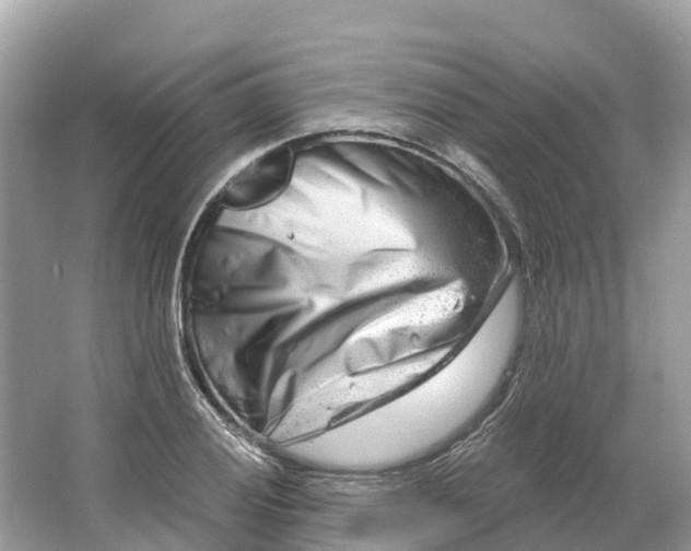 X0000064761028200602241907