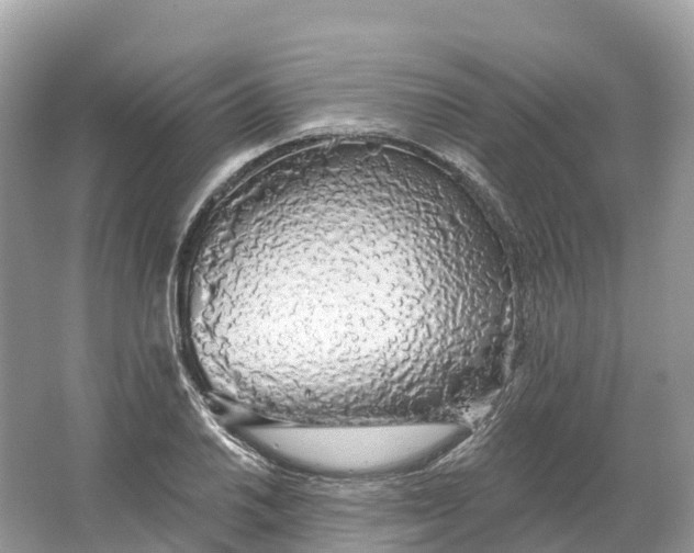 X0000064761030200602241907