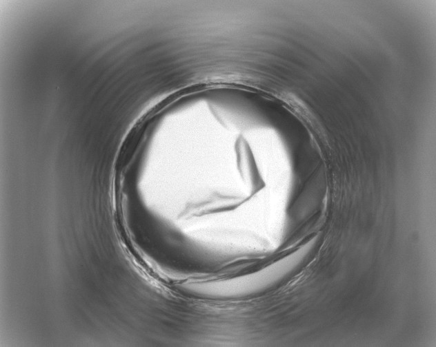 X0000064761036200602241907