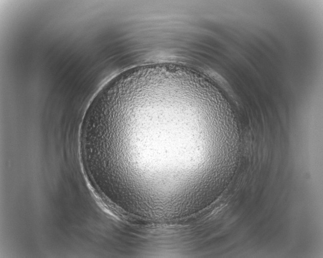 X0000064761039200602241907