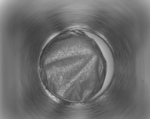 X0000064761042200602241907
