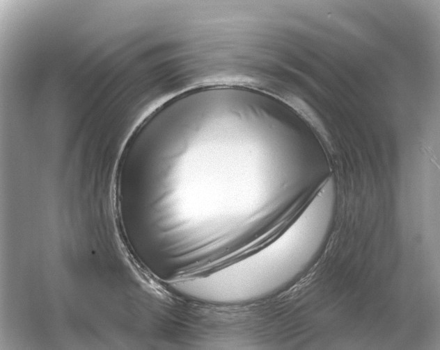 X0000064761044200602241907