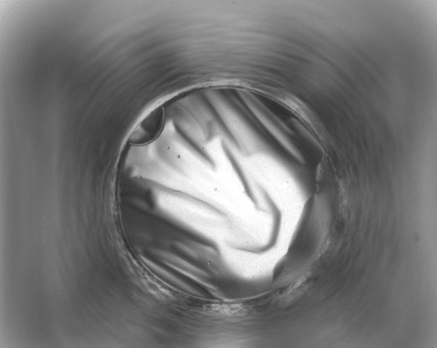 X0000064761052200602241907
