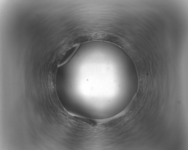 X0000064761058200602241906