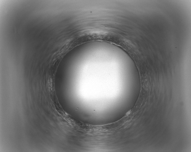 X0000064761061200602241906