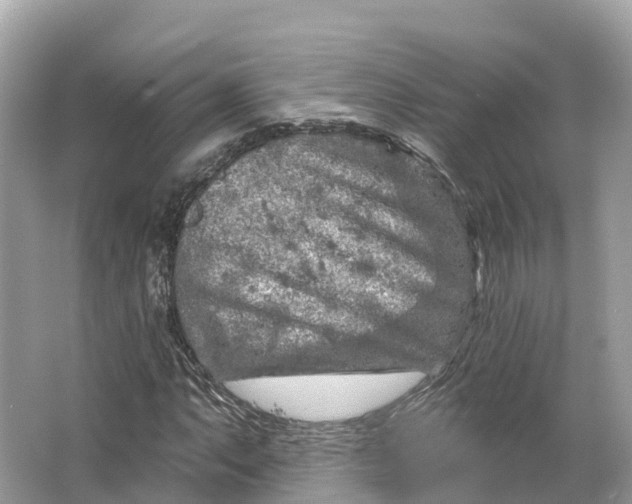 X0000064761063200602241906
