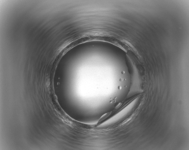 X0000064761065200602241906