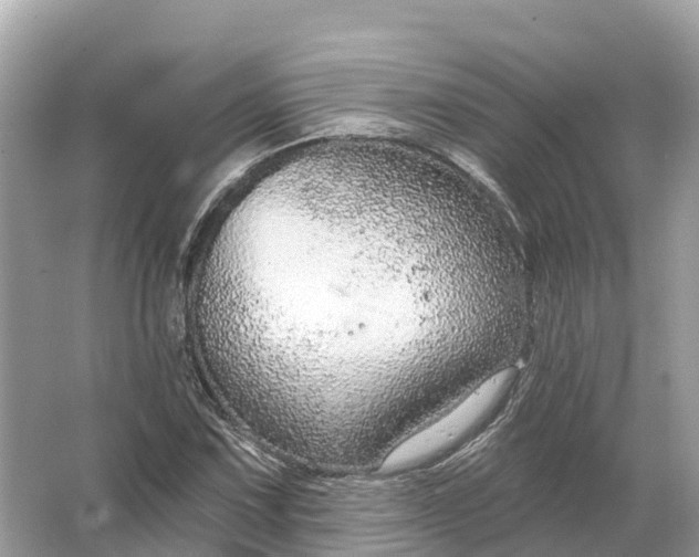 X0000064761067200602241906