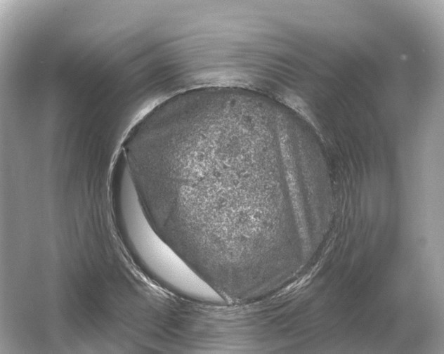 X0000064761071200602241906