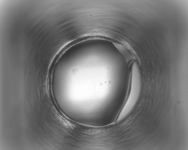 X0000064761076200602241906