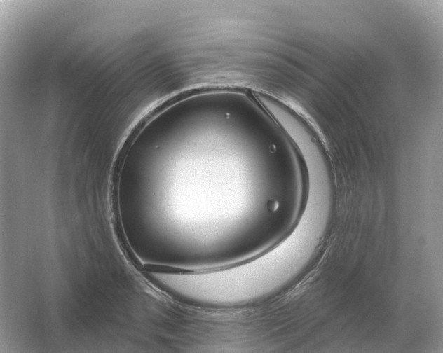 X0000064761085200602241905